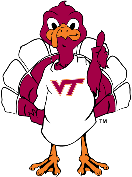 Virginia Tech Hokies 2000-Pres Mascot Logo v3 diy fabric transfer